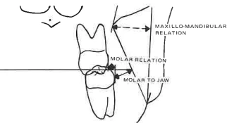 Manual Illustration